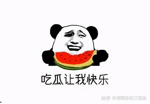 娱乐吃瓜群文案搞笑,笑料百出,吃瓜群众笑翻天!